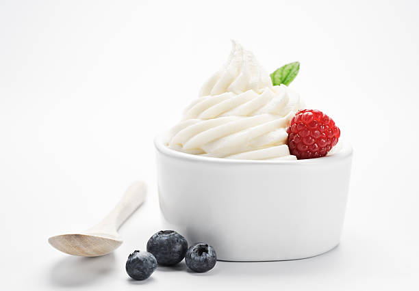 Organic Frozen Yogurt