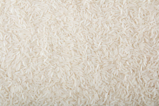 Rice